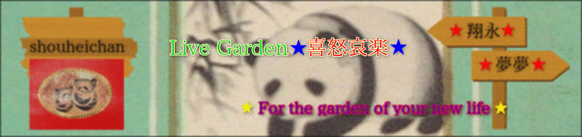 header_20170122-101257.gif
