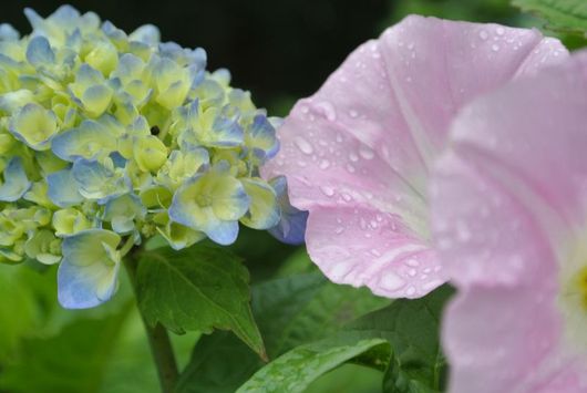 img_20130612-164706.jpg