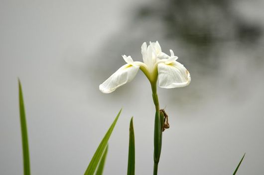 img_20130620-211551.jpg