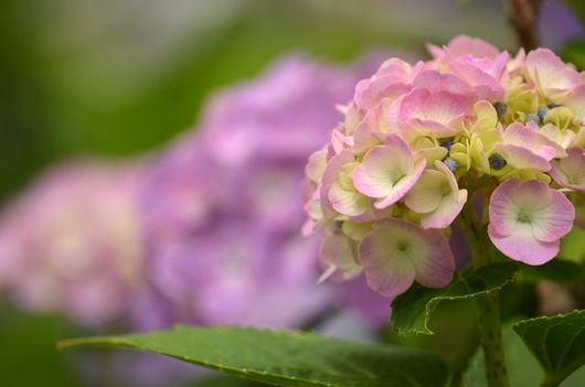 img_20130620-211817.jpg