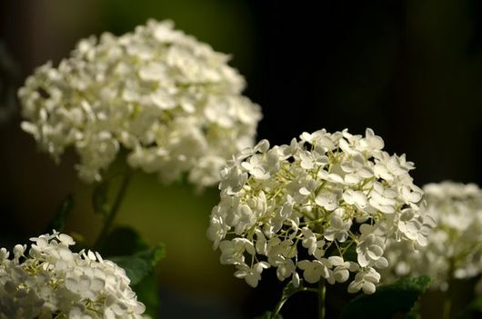 img_20130627-170258.jpg