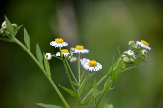 img_20130708-195500.jpg