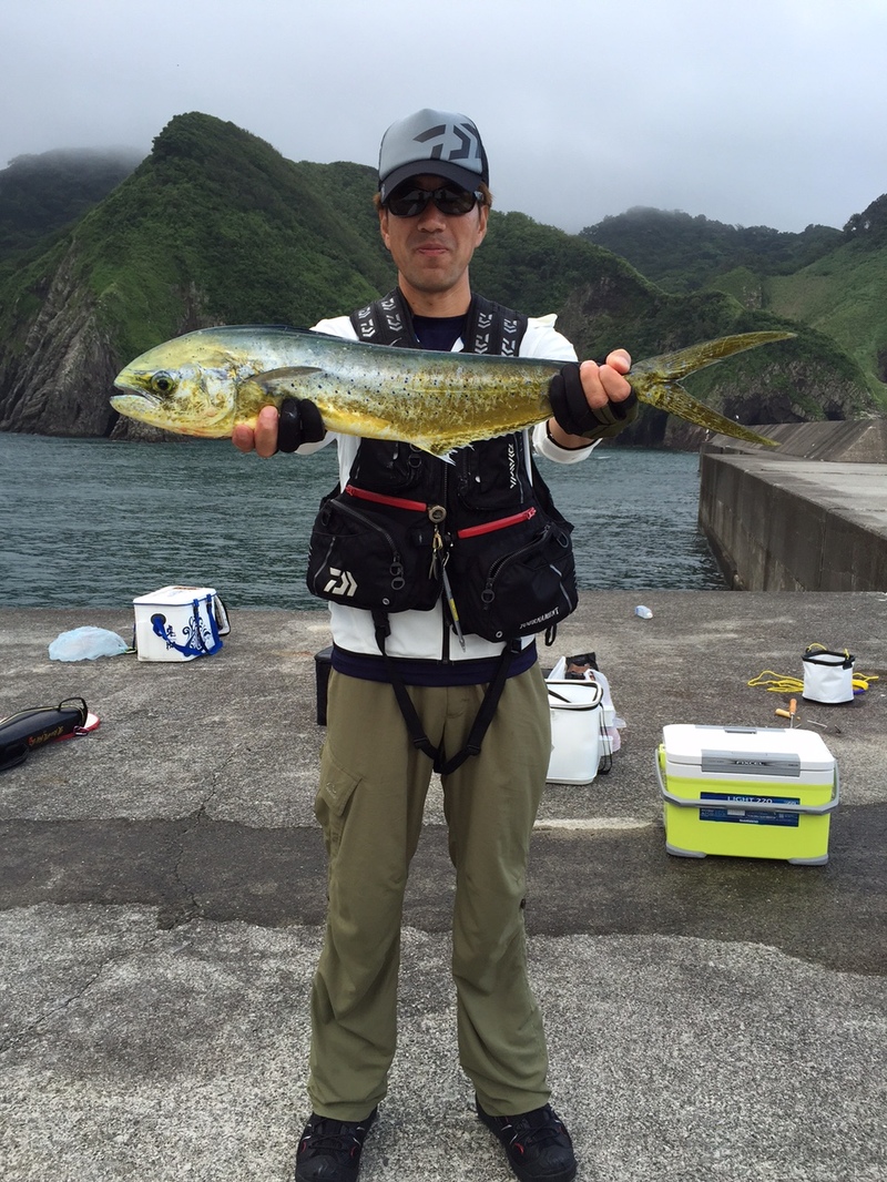 a_20150720-234129.jpg