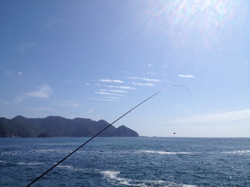 img_20130922-172600.jpg