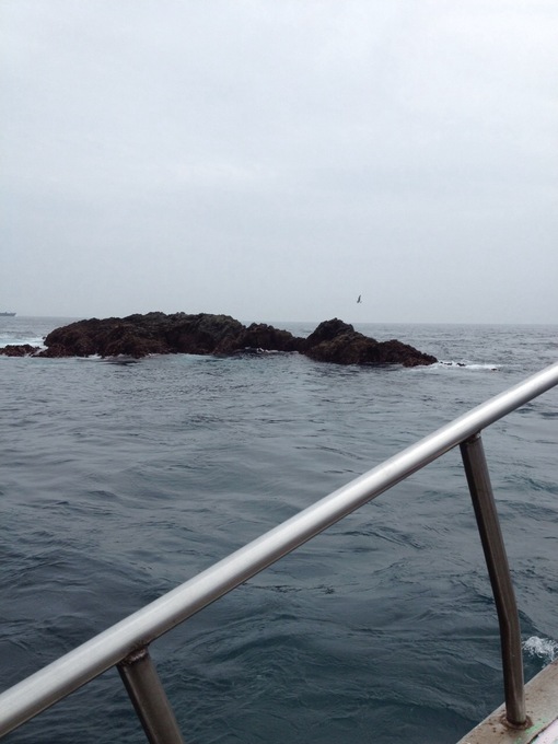 img_20140816-020944.jpg
