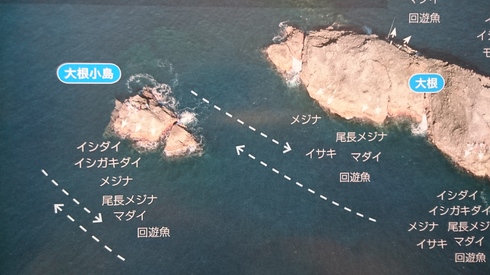 img_20160812-111059.jpg