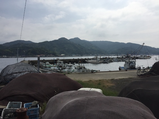 img_20161006-231647.jpg
