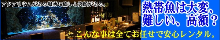 img_20140613-020652.jpg
