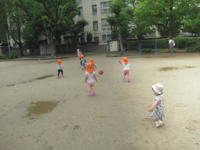 img_20160530-172515.jpg