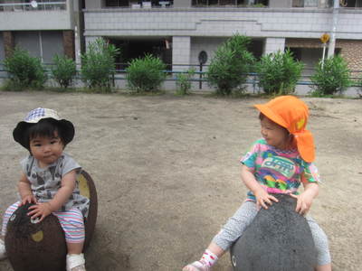 img_20160530-172537.jpg