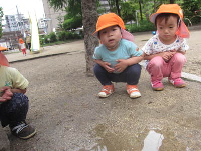 img_20160530-172644.jpg