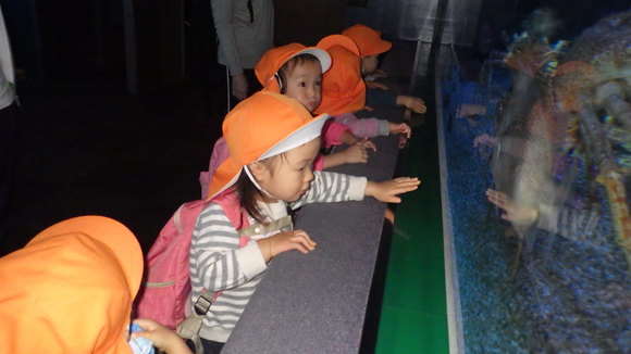 img_20161026-145449.jpg