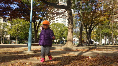 img_20161125-133246.jpg