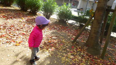 img_20161125-133255.jpg