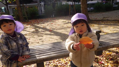 img_20161125-133331.jpg