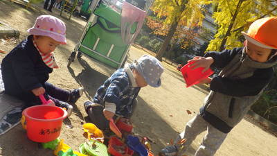 img_20161125-133703.jpg