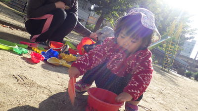 img_20161129-134429.jpg