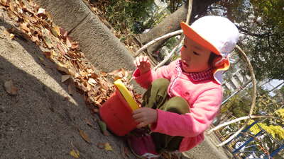 img_20161129-134555.jpg