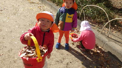 img_20161129-134705.jpg