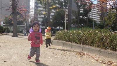 img_20161130-134005.jpg