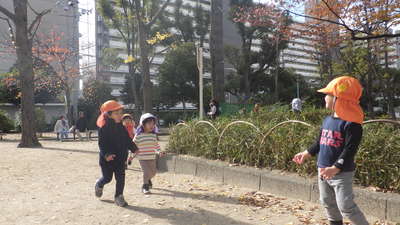 img_20161130-134017.jpg