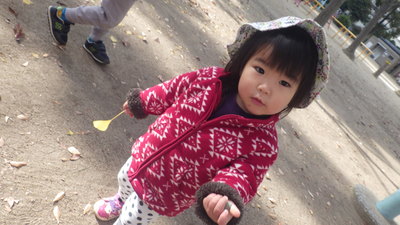 img_20161130-134430.jpg
