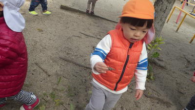img_20161130-134518.jpg