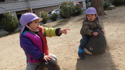 img_20170127-135328.jpg