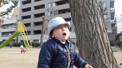img_20170127-135422.jpg