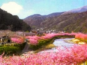 img_20120401-100202.jpg