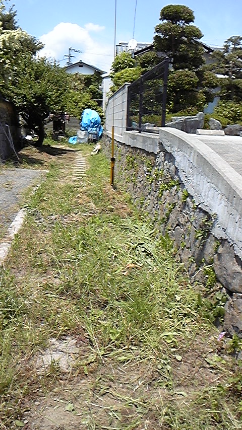 Before
画像