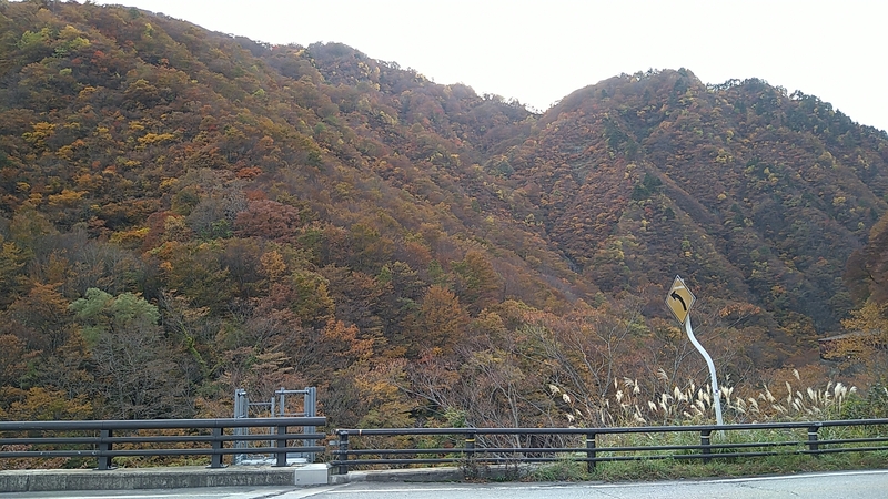 紅葉狩りに行ってきました。画像