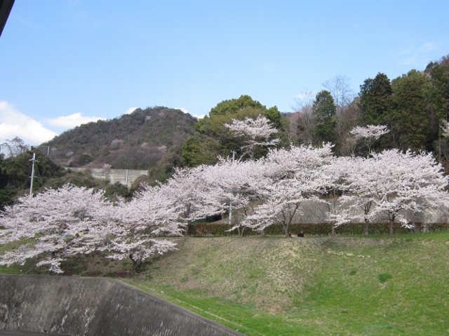img_20140404-134608.jpg