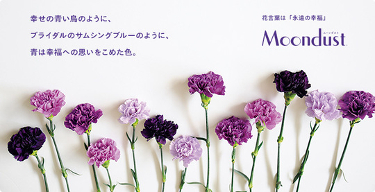 img_20140828-195705.jpg