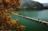 img_20141028-111359.jpg