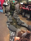 img_20161027-020515.jpg