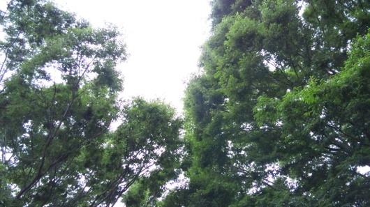 img_20130616-003236.jpg