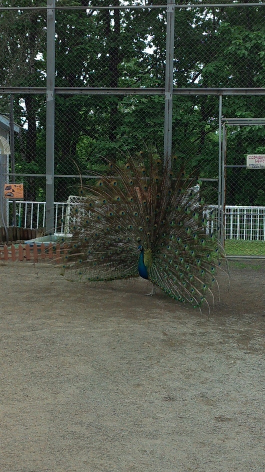 img_20130710-212624.jpg