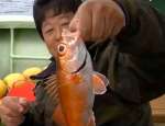 img_20130524-233605.jpg