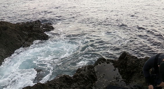 img_20151108-080712.jpg