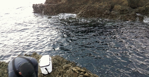 img_20151108-080734.jpg