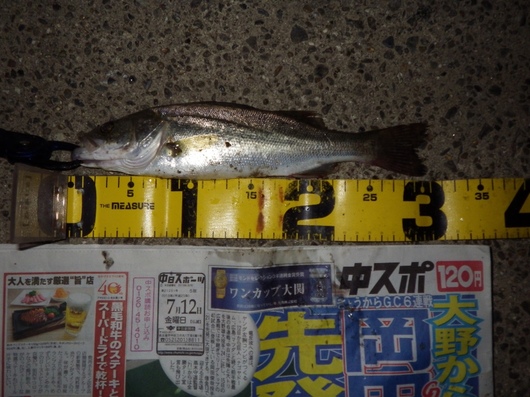 img_20130724-064237.jpg