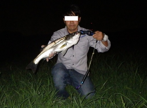 img_20130806-021549.jpg