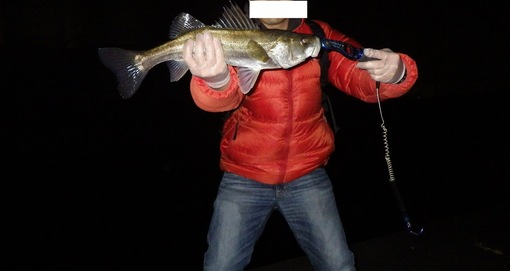 img_20131209-025508.jpg