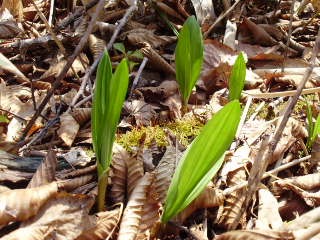 img_20170219-132438.jpg