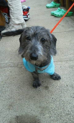 むぎ君