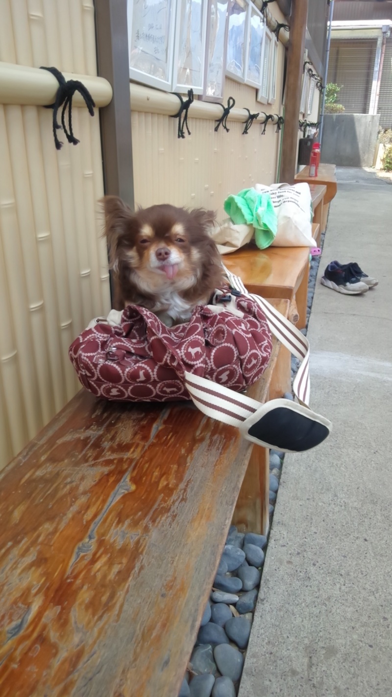 あいちゃん
