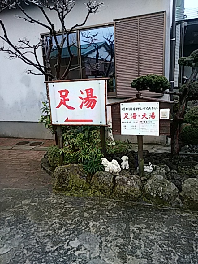 雪はとけました