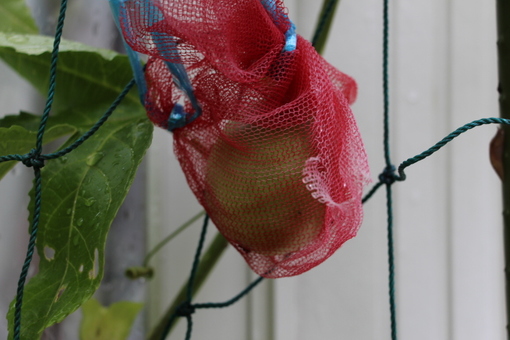 img_20140901-134605.jpg
