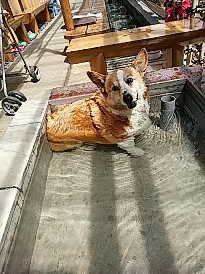 img_20160430-194734.jpg
